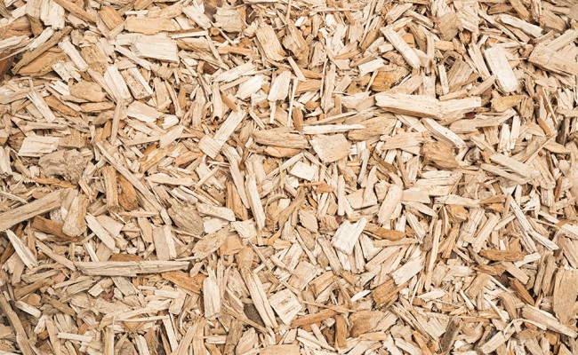 Wood Chip Fuel for Biomass Boiler