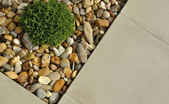 Plant, pebbles and paving texture