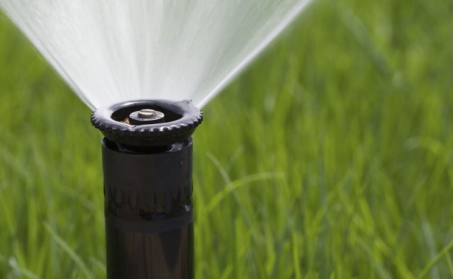 Grass sprinkler