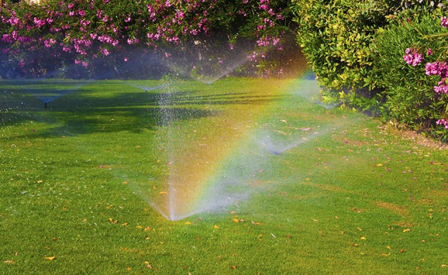 watering  sprinkler  lawn