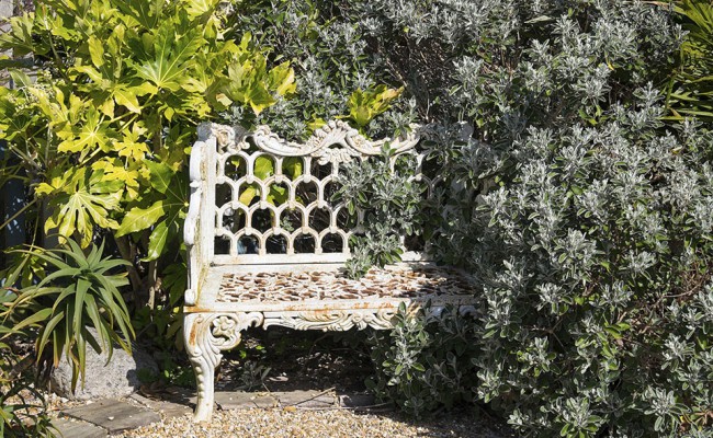 Overgrown wrought iron bench