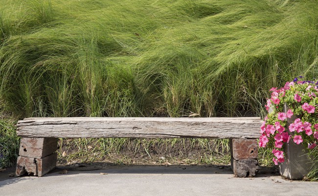 Long wood chair in a garden