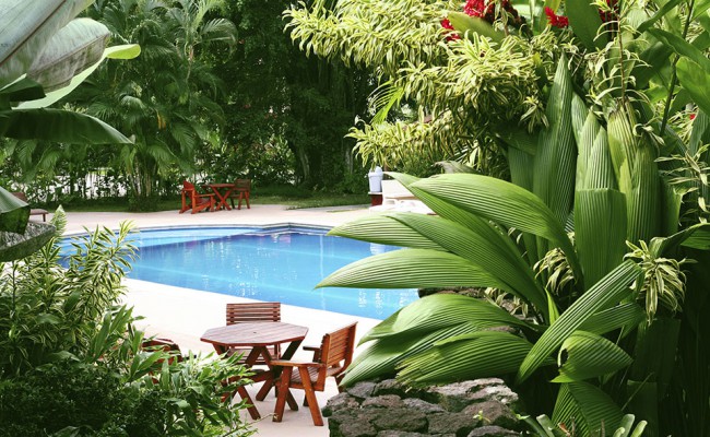 Pool in tropical setting